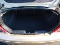 Medium Parchment Trunk Photo for 2002 Ford Focus #70032163