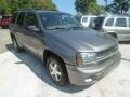 Graystone Metallic - TrailBlazer LS 4x4 Photo No. 4