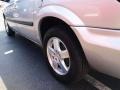 Bright Silver Metallic - Caravan SXT Photo No. 6