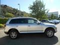 Reflex Silver Metallic - Touareg 2 VR6 Photo No. 3