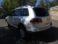 Reflex Silver Metallic - Touareg 2 VR6 Photo No. 10