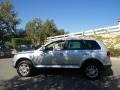 Reflex Silver Metallic - Touareg 2 VR6 Photo No. 11