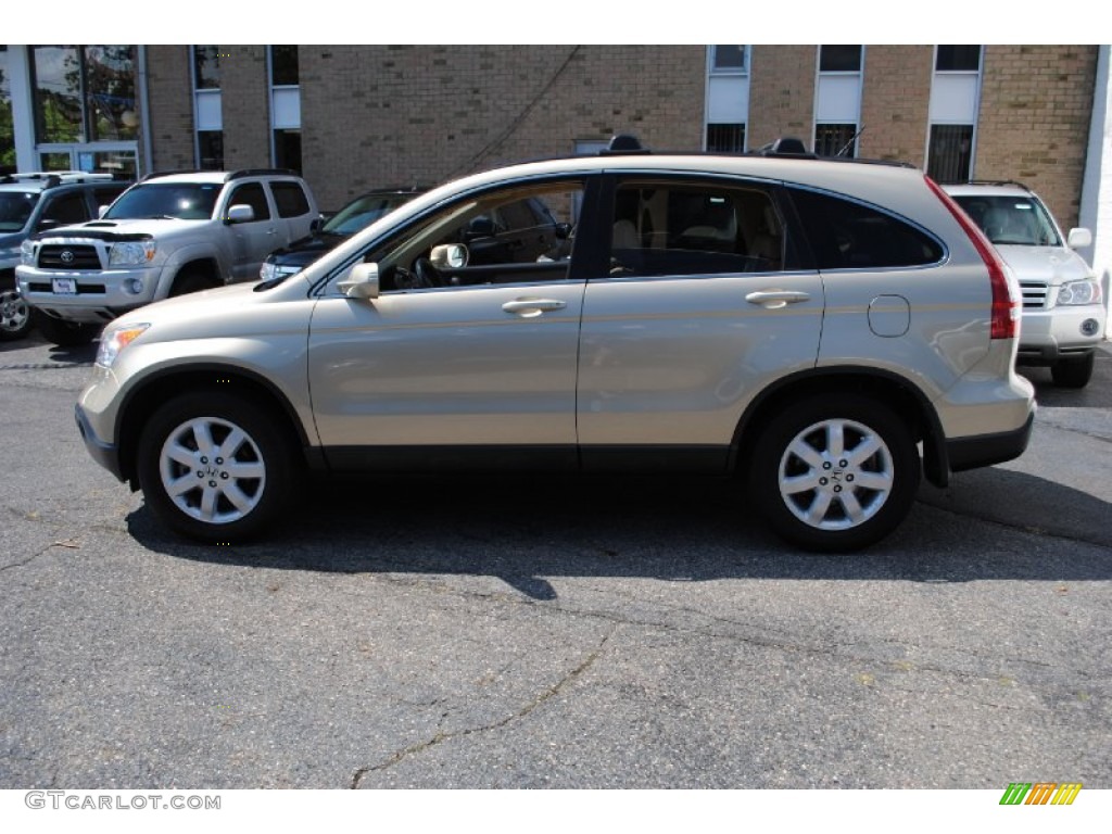 2009 CR-V EX-L 4WD - Borrego Beige Metallic / Ivory photo #3