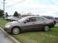 2007 Carbon Bronze Pearl Honda Accord EX-L V6 Sedan  photo #9