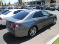 Polished Metal Metallic - TSX Sedan Photo No. 10