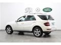 Arctic White - ML 350 4Matic Photo No. 5