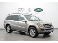 2009 Pewter Metallic Mercedes-Benz GL 450 4Matic  photo #1