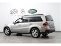 2009 Pewter Metallic Mercedes-Benz GL 450 4Matic  photo #5