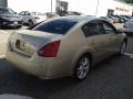 Champagne Mist Metallic - Maxima 3.5 SL Photo No. 7