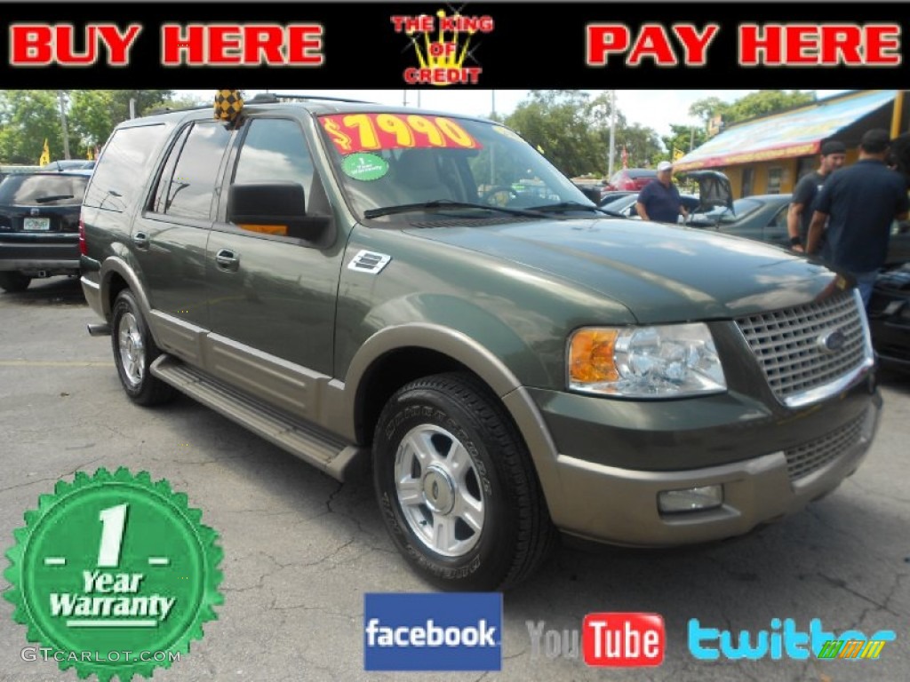 2003 Expedition Eddie Bauer - Estate Green Metallic / Medium Parchment photo #1