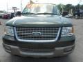 2003 Estate Green Metallic Ford Expedition Eddie Bauer  photo #2