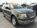 2003 Estate Green Metallic Ford Expedition Eddie Bauer  photo #4