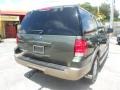 2003 Estate Green Metallic Ford Expedition Eddie Bauer  photo #6