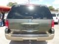 2003 Estate Green Metallic Ford Expedition Eddie Bauer  photo #7