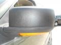 2003 Estate Green Metallic Ford Expedition Eddie Bauer  photo #10