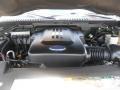 2003 Estate Green Metallic Ford Expedition Eddie Bauer  photo #27