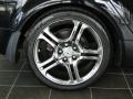 Nighthawk Black Pearl - TL 3.2 Photo No. 27