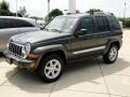 Dark Khaki Pearl 2005 Jeep Liberty Limited