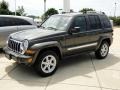 2005 Dark Khaki Pearl Jeep Liberty Limited  photo #1