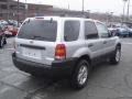 2005 Silver Metallic Ford Escape XLT V6 4WD  photo #4