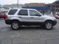 2005 Silver Metallic Ford Escape XLT V6 4WD  photo #5