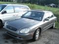 Gray Metallic - Sonata GLS V6 Photo No. 3