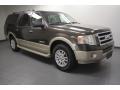 Stone Green Metallic 2008 Ford Expedition EL Eddie Bauer