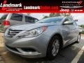 Radiant Silver - Sonata GLS Photo No. 1