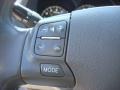 Cashmere Controls Photo for 2007 Lexus GS #70088874