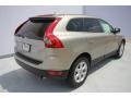 2013 Seashell Metallic Volvo XC60 3.2  photo #3