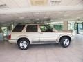 2002 Golden Sand Metallic Infiniti QX4 4x4  photo #8