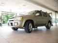 2002 Golden Sand Metallic Infiniti QX4 4x4  photo #12