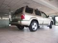 2002 Golden Sand Metallic Infiniti QX4 4x4  photo #15