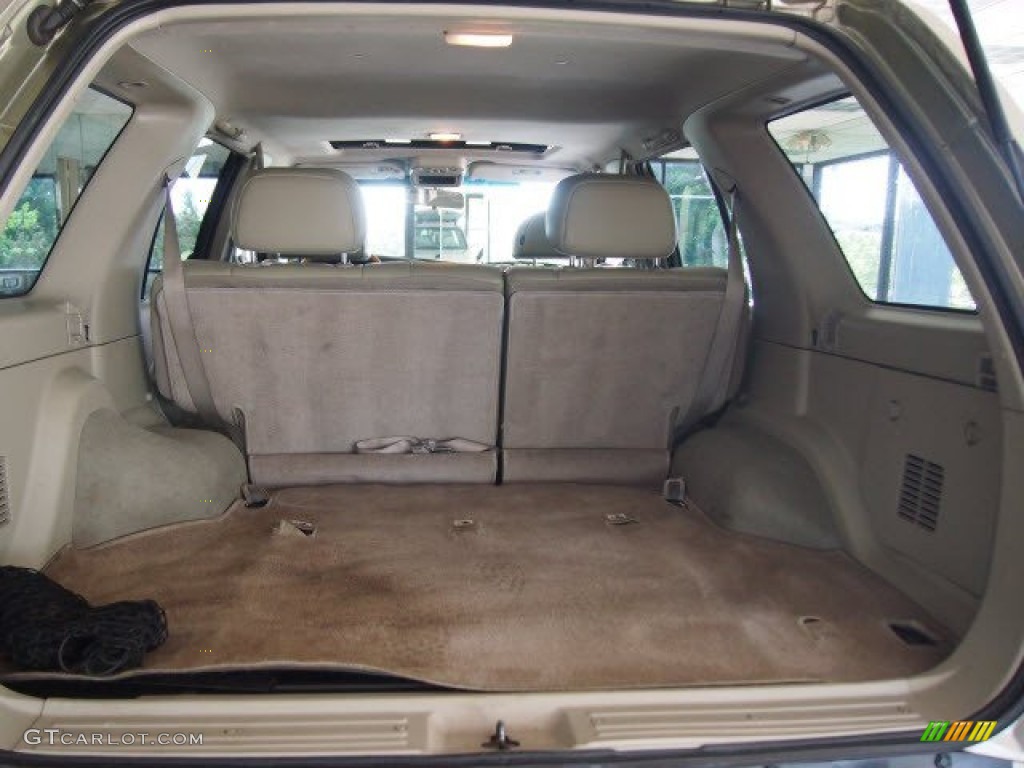 2002 QX4 4x4 - Golden Sand Metallic / Stone Beige photo #18