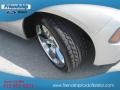 Bright Silver Metallic - Charger R/T Photo No. 11