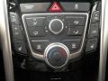 2013 Hyundai Elantra GT Controls