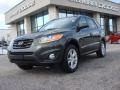 Black Forest Green Metallic 2010 Hyundai Santa Fe Limited