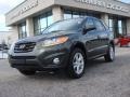 2010 Black Forest Green Metallic Hyundai Santa Fe Limited  photo #1