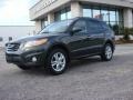 2010 Black Forest Green Metallic Hyundai Santa Fe Limited  photo #2