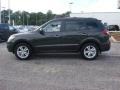 2010 Black Forest Green Metallic Hyundai Santa Fe Limited  photo #3