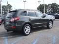 2010 Black Forest Green Metallic Hyundai Santa Fe Limited  photo #5