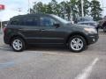 2010 Black Forest Green Metallic Hyundai Santa Fe Limited  photo #6