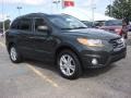 2010 Black Forest Green Metallic Hyundai Santa Fe Limited  photo #7