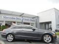 2010 Steel Grey Metallic Mercedes-Benz E 350 Coupe  photo #1