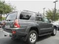 2004 Galactic Gray Mica Toyota 4Runner SR5  photo #6