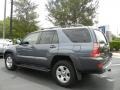 2004 Galactic Gray Mica Toyota 4Runner SR5  photo #8