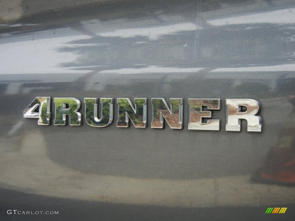 2004 4Runner SR5 - Galactic Gray Mica / Stone photo #9