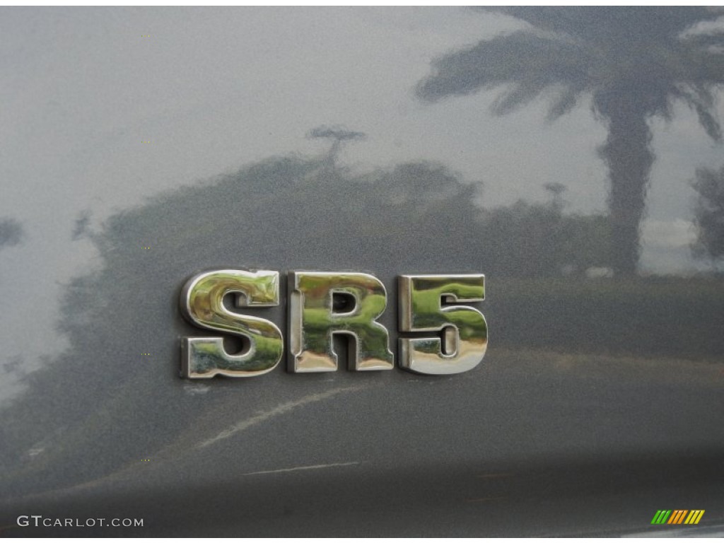 2004 4Runner SR5 - Galactic Gray Mica / Stone photo #10