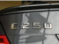 2013 Steel Grey Metallic Mercedes-Benz C 250 Coupe  photo #4