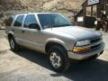 Light Pewter Metallic - Blazer LS 4x4 Photo No. 35